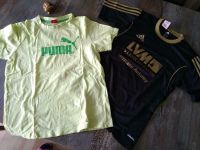 2 Sportshirts Gr. 164 Adidas Puma Schleswig-Holstein - Behrendorf Vorschau