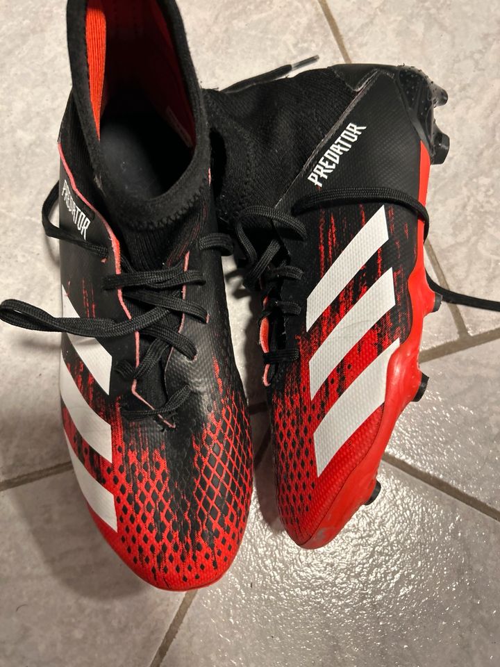 Adidas Predator Fußballschuh Gr 38 in Oelde