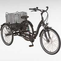 Prophete Cargo 3r 20.ESL.10 E-Bike 24/26" Niedersachsen - Hemsbünde Vorschau