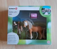 NEU Schleich 41431 Pferdepflegerin Island Pony originalverpackt Niedersachsen - Neubörger Vorschau