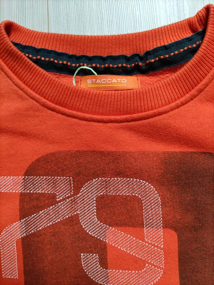 Kinder Sweatshirt Staccato S orange in Bad Laasphe