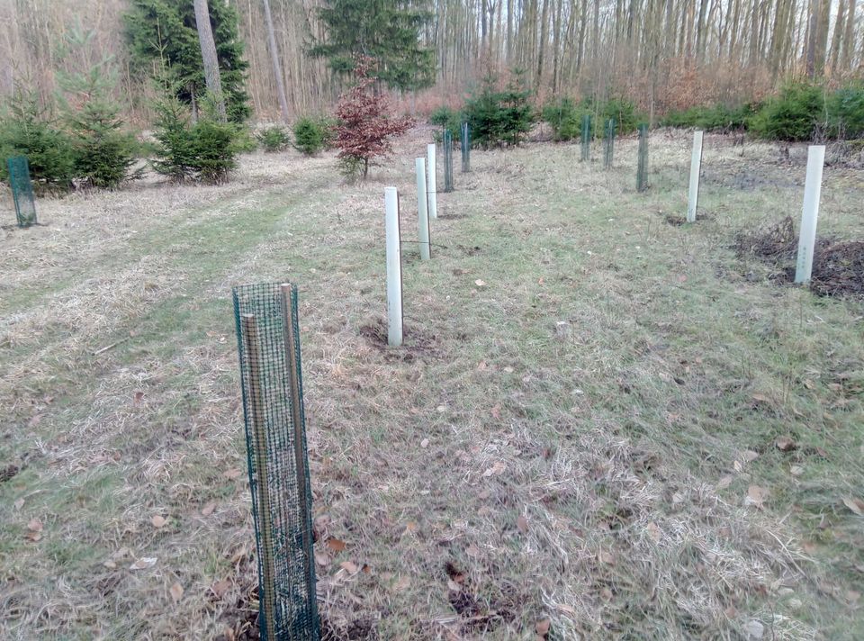 Freizeitgrundstück / Wald  bei Ebermannstadt in Forchheim