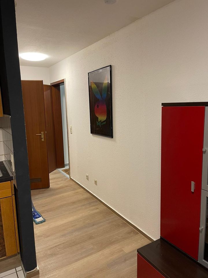 1 Zimmer Wohnung zu vermieten ab sofort in Ludwigshafen