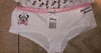 6 Damen Slips gr. L Mini Mouse neu mit Etikett zusammen 5€ Brandenburg - Zollchow Vorschau