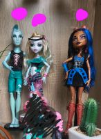 Monster high puppen Baden-Württemberg - Heddesheim Vorschau