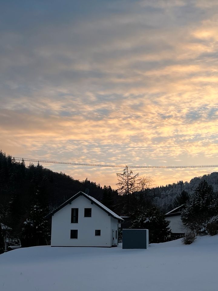 **RESERVIERT**wunderschönes Haus in Willingen in Willingen (Upland)