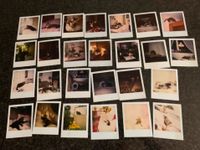 26 Polaroidfotos mit Katzen Hessen - Heusenstamm Vorschau