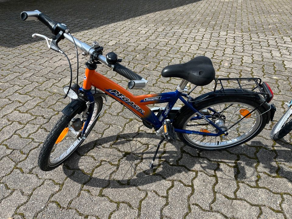 Pegasus 21 Zoll Kinderfahrrad, 3-Gang in Kandern