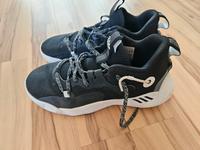 Basketballschuhe Adidas Gr. 41 Hessen - Ober-Ramstadt Vorschau