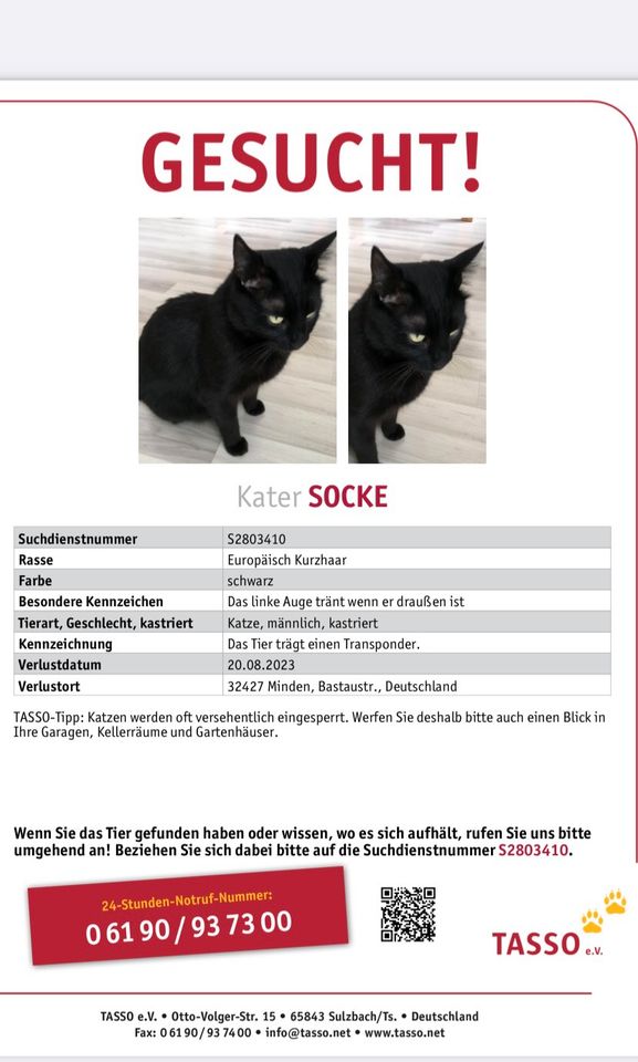 Vermisster Kater aus Minden vermutlich in 33699 Bielefeld in Minden