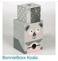 Suche Bonnie Boxx Koala Hessen - Darmstadt Vorschau