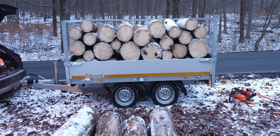 Regionales Brennholz trocken ofenfertig inkl. Lieferung in Salzhemmendorf