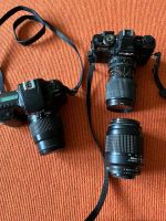 Kamera,Nikon F50, Minolta X700 Nordrhein-Westfalen - Erkelenz Vorschau