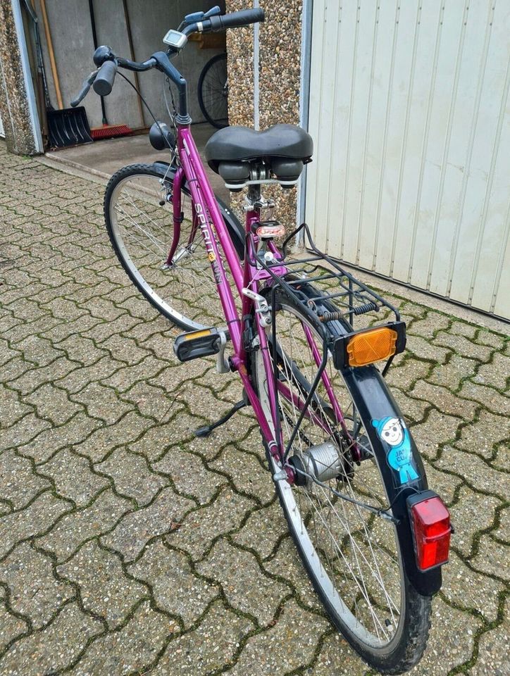 City- Trekking Bike 28" Zoll Damen/Herren Unisex 3-Gang Purple! in Gladbeck