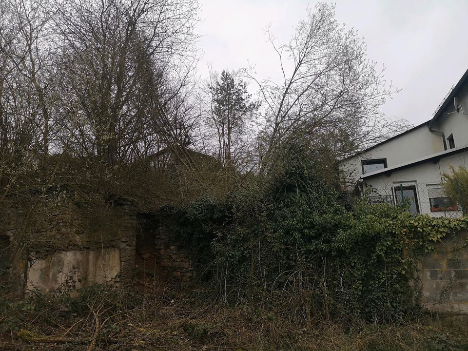 Einfamilienhaus mit Baugrundstück in Beselich