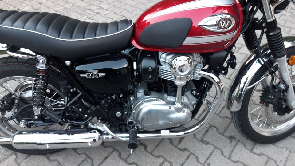 Kawasaki W800    -neu-    A2 tauglich in Bad Colberg-Heldburg