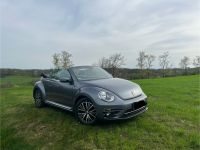 Volkswagen VW Cabrio Beetle - Audi - Skoda - Porsche Nordrhein-Westfalen - Reichshof Vorschau