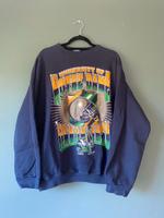 Fighting Irish Notre Dame College Football True Vintage Sweater Feldmoching-Hasenbergl - Feldmoching Vorschau