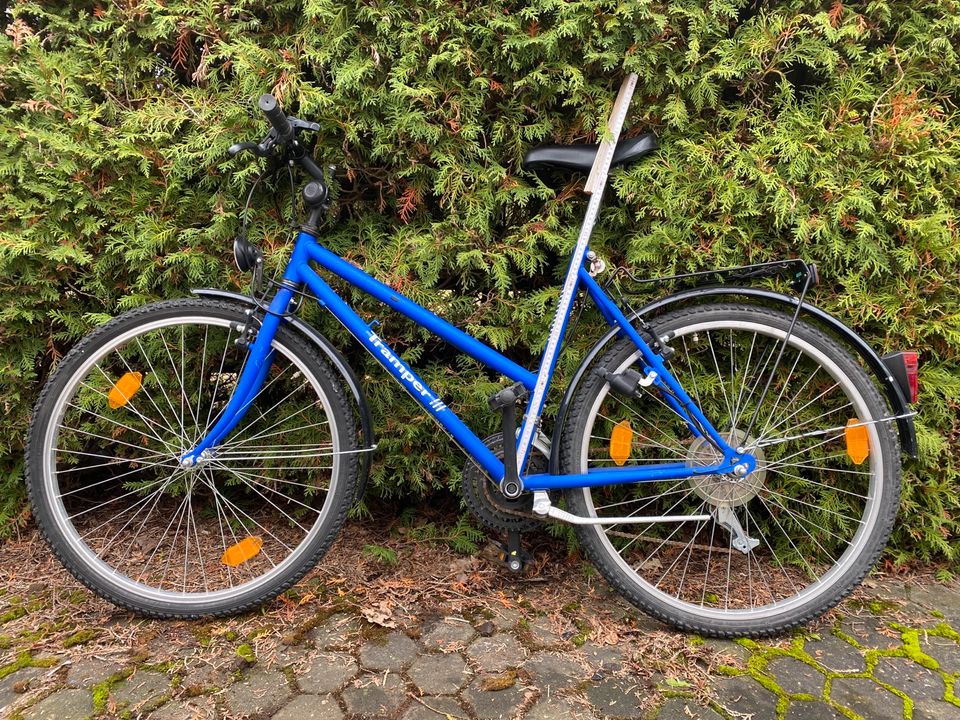 Fahrrad Tramper blau in Neumarkt i.d.OPf.