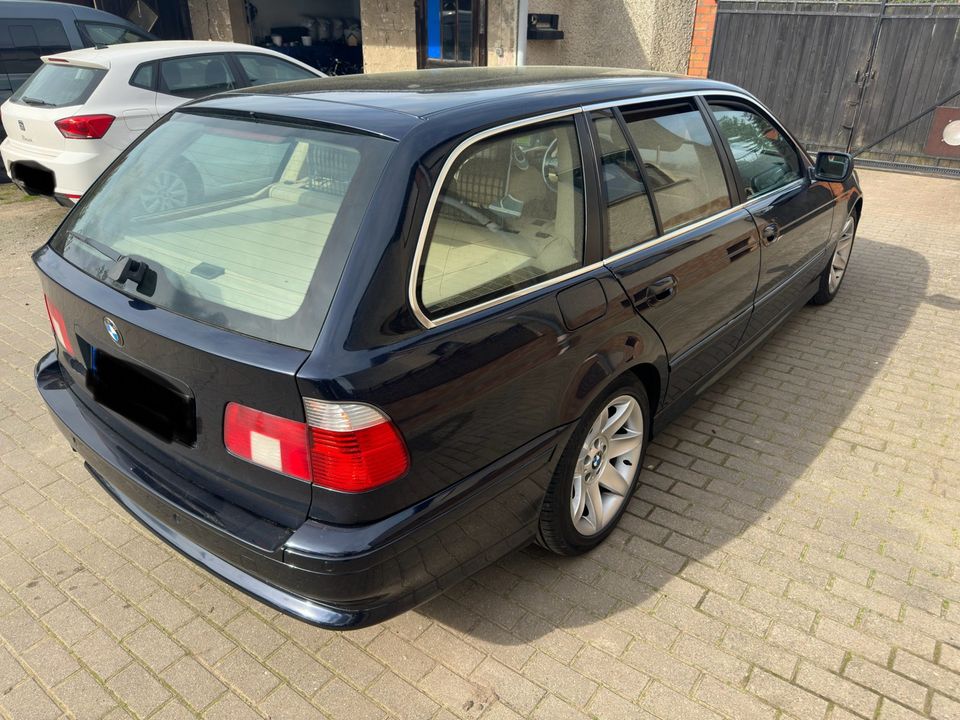 BMW E39 530D Touring in Diesdorf