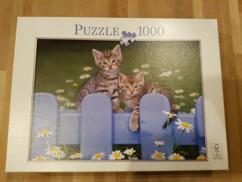 Puzzle "Kätzchen" 1000 Teile in Elmshorn