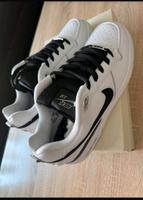 Nike SB Zoom Air Paul Rodriguez  EU 45 Neu ! Essen - Essen-Südostviertel Vorschau