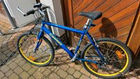 Mountainbike Fahrrad Conway viel Zubehör Niedersachsen - Hildesheim Vorschau