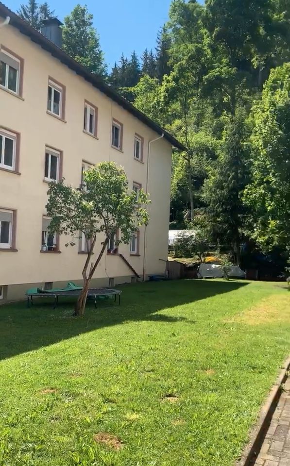 Vollständig renovierte 3-Zimmer-Wohnung mit EBK in Triberg in Triberg