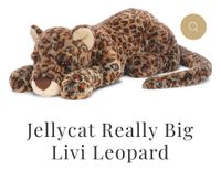 Suche: Jellycat really big Livi Leopard Bayern - Heßdorf Vorschau