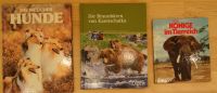 Bücher Tiere/Hunde/Bären/Elefanten Konvolut / siehe Foto Rheinland-Pfalz - Diez Vorschau