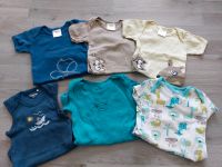 6 Baby Bodys Kurzarm 74 74/80 Kleiderpaket Rheinland-Pfalz - Wallmenroth Vorschau