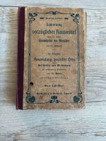 Antikes Buch - Sammlung vorz. Hausmittel Dr. Lüders Sachsen - Delitzsch Vorschau