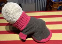 Hundemantel gestrickter Pullover Hund Welpe 23cm *wie neu* Baden-Württemberg - Bretten Vorschau