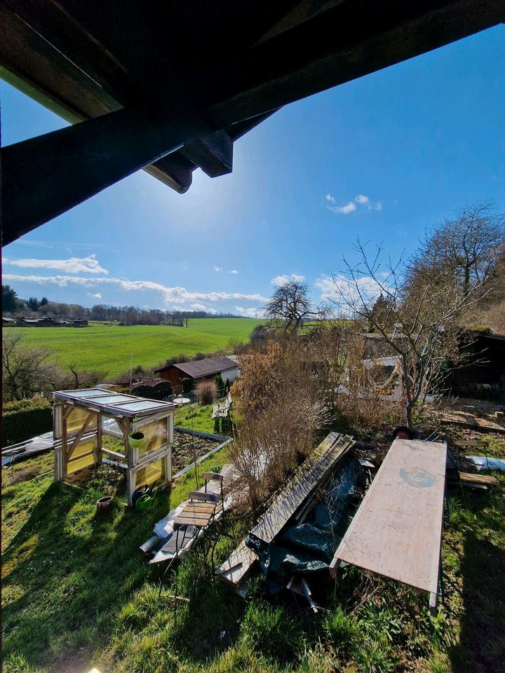 Traumhafter Garten mit Gartenhaus / Handwerker in Hof (Saale)