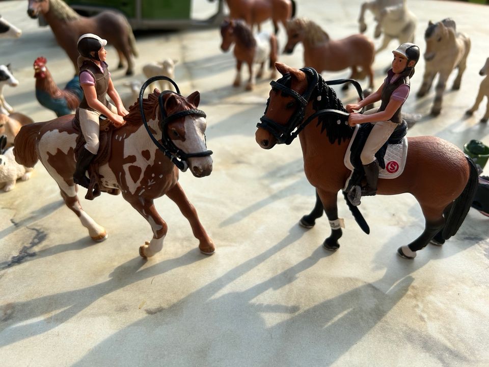 Schleichtiere mit Futter, Pferdewagen, Satteln und Figuren in Bassum