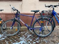 Raleigh Fahrrad 26 Zoll Baden-Württemberg - Ettlingen Vorschau