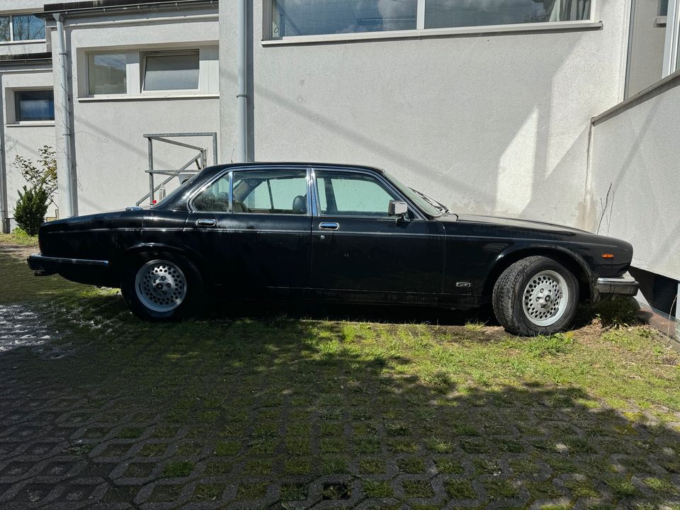 Jaguar XJ Sovereign V12 in Barsbüttel