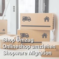 Shopumzug * Onlineshop umziehen * Shopware Migration Baden-Württemberg - Schliengen Vorschau