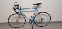 Rennrad Pinarello 28 Zoll Hannover - Südstadt-Bult Vorschau