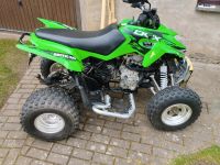 Arctic Cat DVX 300 Brandenburg - Wusterwitz Vorschau