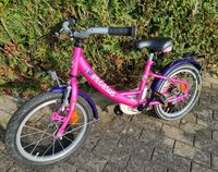 16 Zoll Kinderfahrrad von Pegasus Sachsen - Markranstädt Vorschau