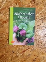 Wildkräuter finden - der Blitzkurs für Anfänger Baden-Württemberg - Emmendingen Vorschau