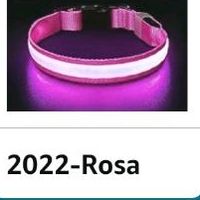 Halsband Hundehalsband gr. S 40 cm max  rosa led Nordrhein-Westfalen - Ennigerloh Vorschau