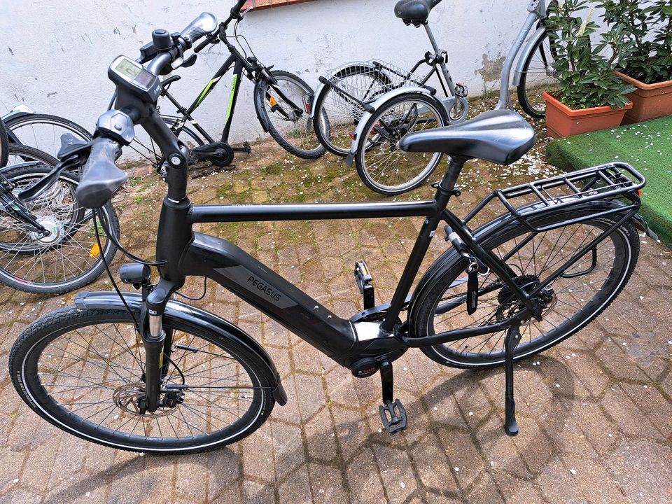 E Bike 28Zoll Herren PEGASUS Solero EVO . 2021.500 Wh ..1541 km. in Langwedel