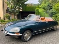 Citroen DS 21 Cabrio (Chapron Replik) Nordrhein-Westfalen - Bad Driburg Vorschau