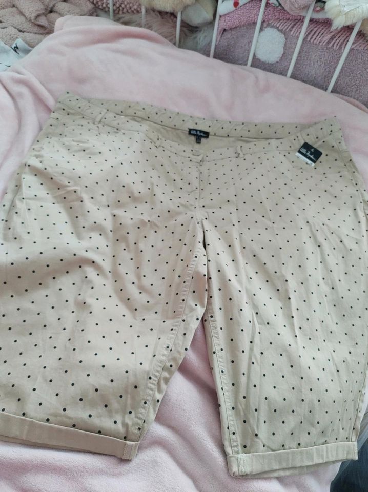 Ulla Popken 60 Sommer Hose Caramel mit schwarzen Punkten Polkadot in Potsdam