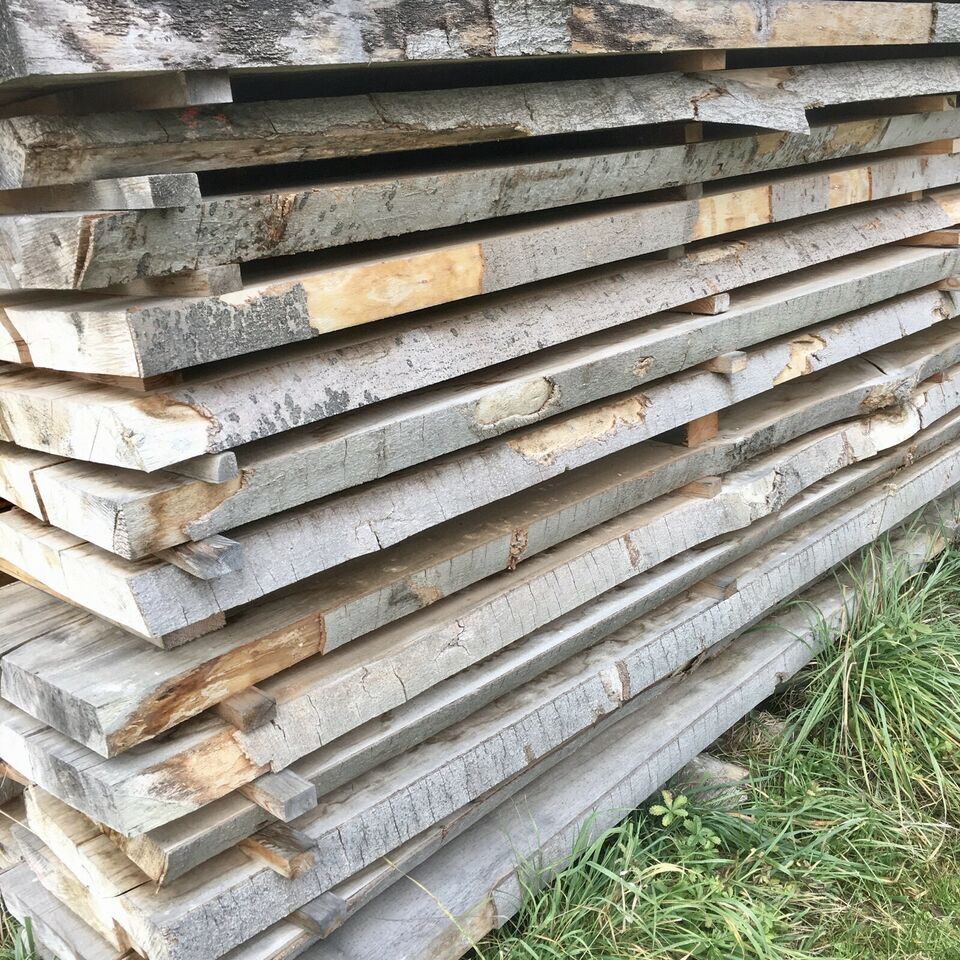 Buche Bohlen, Holzbohlen Dielen Bretter Platten luftgetrocknet in Lichtenfels