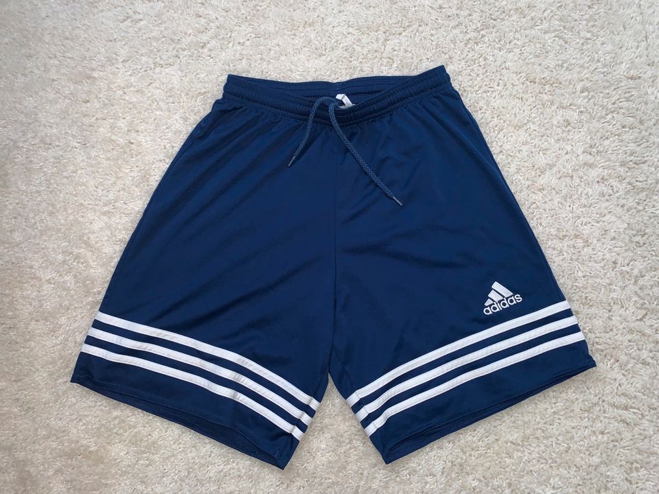 Sport Hose kurze Hose Adidas blau NEU S 36 in Sandersdorf