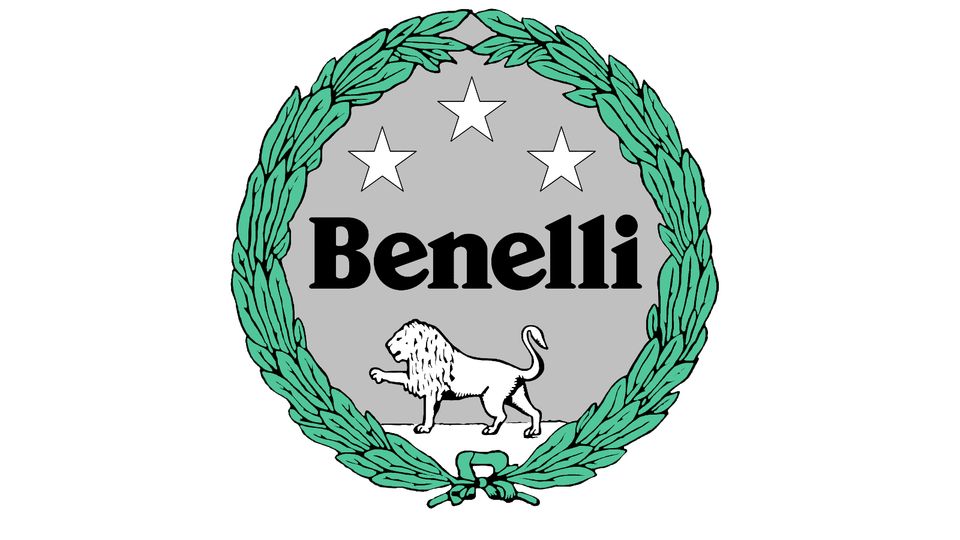 Benelli Leoncino 500 "SnowSale" silber ABS EU5 in Hamburg