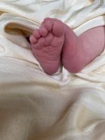 Stillberatung Stillberaterin Stillen Baby Geburt Brandenburg - Frankfurt (Oder) Vorschau